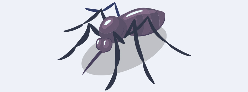 A cartoon of an ant with long legs and antennae.