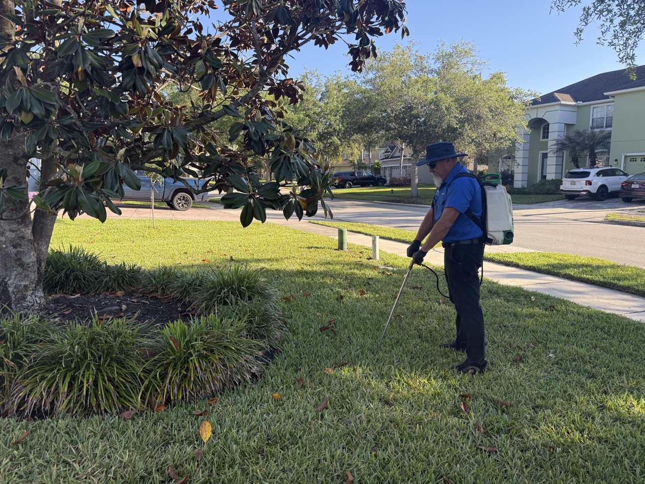 Technician performing deep root injection by a tree