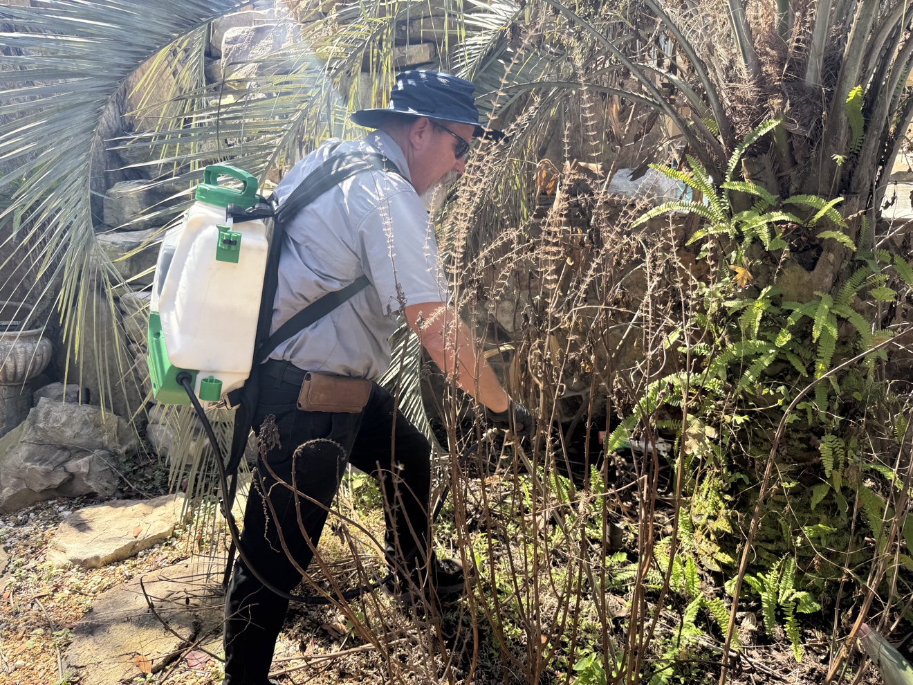 Technician treating landscape plants